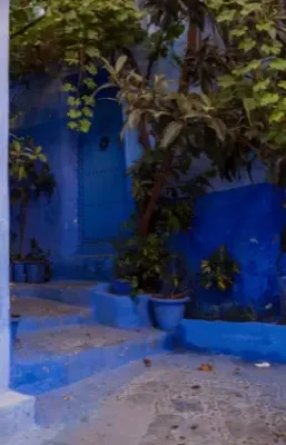 Alexsar Art Tuinschilderij blauwe trap 70x50cm Alexsar Art Tuinschilderij blauwe trap 70x50cm