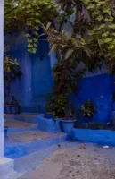 Alexsar Art Tuinschilderij blauwe trap 70x50cm - thumbnail