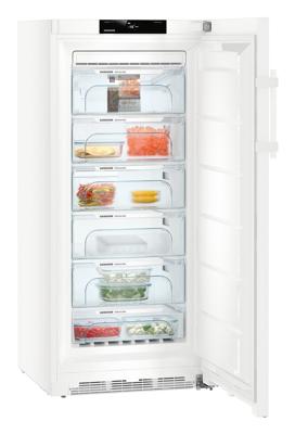 Liebherr GN4135-21 diepvriezer Vrijstaand Staand 271 l D Wit