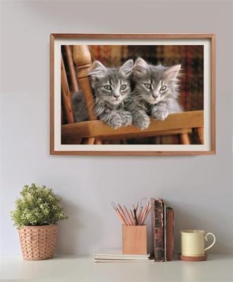 Clementoni legpuzzel kittens, 500st.