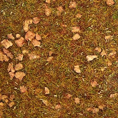 NOCH 8360 Strooigras Stenige bergweide Groen (gemiddeld)