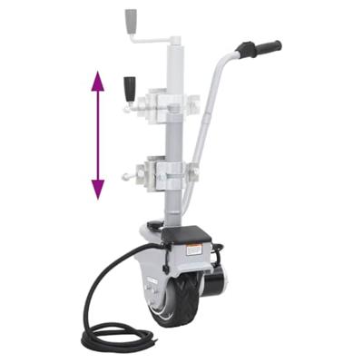 VidaXL Elektrotrekker gemotoriseerd 12 v 350 w aluminium
