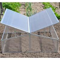 Silver Thyme kweekkas - thumbnail