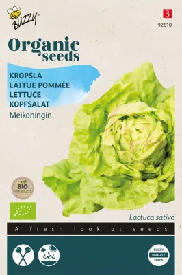 Zaden Organic Kropsla Meikoningin (BIO) Buzzy - Buzzy Zaden Organic Kropsla Meikoningin (BIO) Buzzy - Buzzy