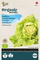 Zaden Organic Kropsla Meikoningin (BIO) Buzzy - Buzzy - thumbnail