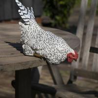 Farmwood Animals Farmwood kip op rand 23x14x24cm - thumbnail