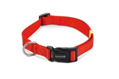 Beeztees uni - halsband hond - rood - 48-70 cm x 25 mm