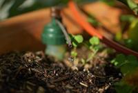 Blumat Blumat Maxi Set voor 12 planten - thumbnail