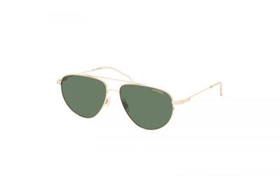 Carrera 2014T/S PEF GOLD GREEN Heren Zonnebril 56x14x135