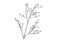 Naaldtak den l118 cm bruin/wit Silk-Ka - Silkka - thumbnail