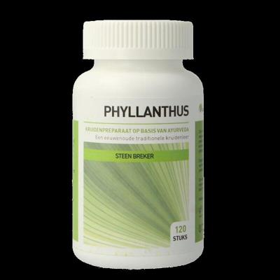 Ayurveda Health Phyllanthus niruri 120 Tabletten