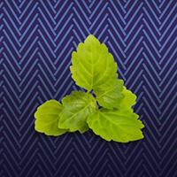 David Beckham - Classic Blue - EDT 40 ml - thumbnail