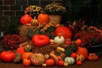 Tuinschilderij pompoen deco 130x70cm Customize-it - Customize it - thumbnail