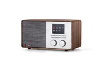 Pinell Supersound 301 Hybride radio Bruin - thumbnail