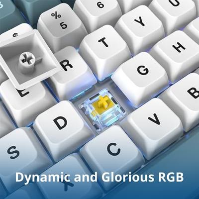 Montech Mkey Freedom TKL toetsenbord