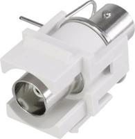 Renkforce RF-KS-BNC BNC-inbouwmodule Keystone - thumbnail