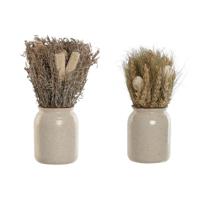 Decoratieve plant Home ESPRIT Bloem 13 x 13 x 25 cm (2 Stuks) (12 Stuks) - thumbnail