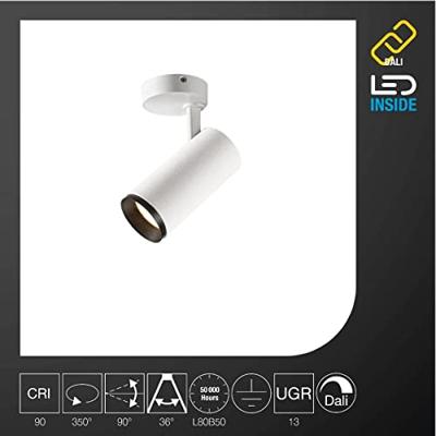 SLV OpbouwspotNuminos M Dali wit/zwart 3000K - 36gr - 1004495