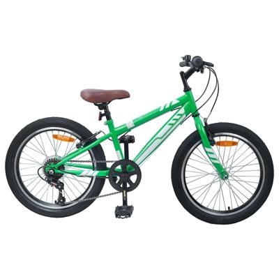 Mountainbike 20 Inch 6-Speed voor 5-8 jaar oud Groen