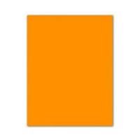 Fiches Iris Oranje 50 x 65 cm - thumbnail