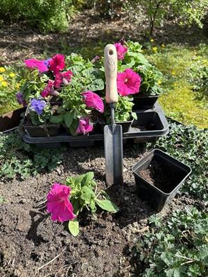 De Wit Rock &apos;n root plantschepje