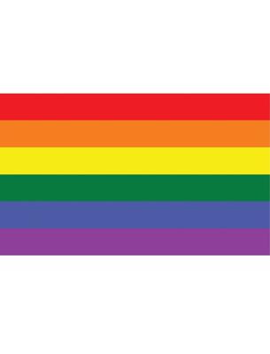 Regenboog vlag 90x150cm