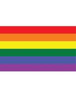 Regenboog vlag 90x150cm - thumbnail