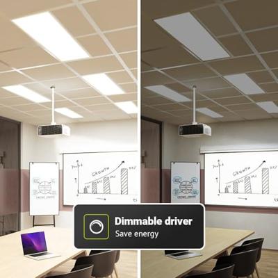 LED Paneel - 30x120 cm - 36 Watt - 4860lm (135lm/W) - 6500K daglicht wit - Dali Dimbaar - Flikkervrij - UGR22 - 5 jaar garantie LED Paneel - 30x120 cm - 36 Watt - 4860lm (135lm/W) - 6500K daglicht wit - Dali Dimbaar - Flikkervrij - UGR22 - 5 jaar garantie