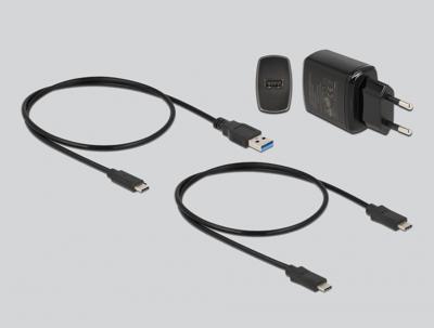 Delock 64178 USB-C Harde schijf-dockingstation Met clone-functie