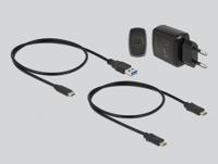 Delock 64178 USB-C Harde schijf-dockingstation Met clone-functie - thumbnail