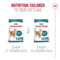 Royal Canin FHN Ageing 11+ kattenvoer 4 kilo - thumbnail
