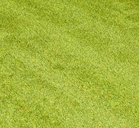 NOCH 00265 Landschapsmat Weide (l x b) 1200 mm x 600 mm - thumbnail