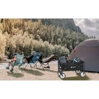 TOOLCRAFT TO-9626610 Handwagen Staal, PP, Laadvermogen (max.): 80 kg - thumbnail