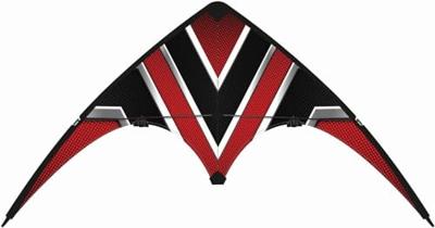 Günther Flugspiele Stuntvlieger Carbon Design Loop Spanwijdte 100 mm Geschikt voor windsterkte 4 - 6 bft