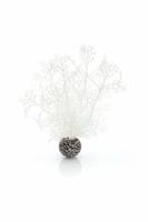 BiOrb koraal klein wit aquarium decoratie - thumbnail