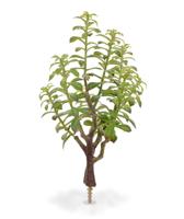 Crassula Bonsai kunstplant 40cm - grijs - thumbnail