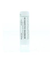 Berberis vulgaris D6 6 Gram - thumbnail