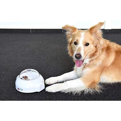 Popup Interactief beloningsspel voor honden Per stuk