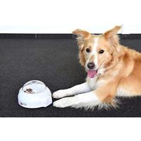 Popup Interactief beloningsspel voor honden Per stuk - thumbnail