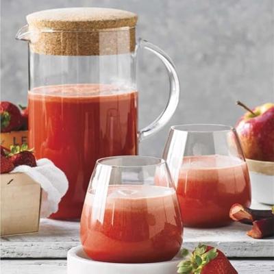 Sage Nutri Juicer Cold Plus SJE530BSS4EEU1 Blender Zilver