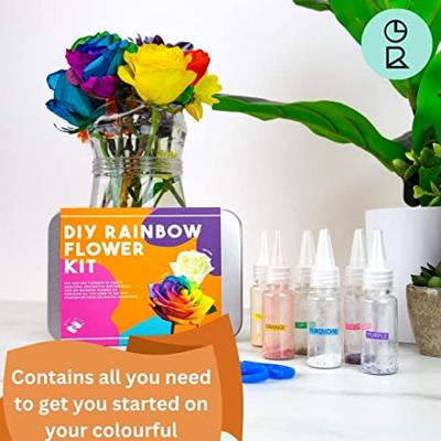Gift Republic DIY Regenboog Bloemen Kit
