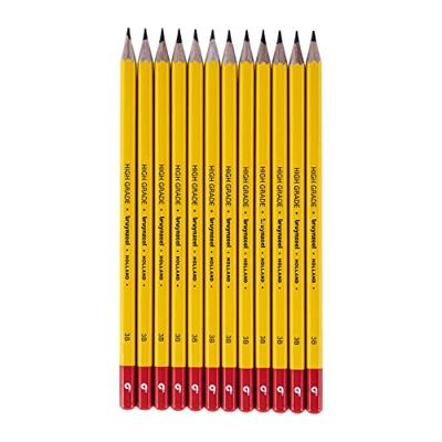 Grafietpotlood bruynzeel burotek 3b set 12 stuks Grafietpotlood bruynzeel burotek 3b set 12 stuks