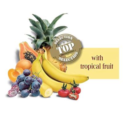 Versele-Laga Exotic Fruitmix papegaaienvoer 2 x 600 g Versele-Laga Exotic Fruitmix papegaaienvoer 2 x 600 g