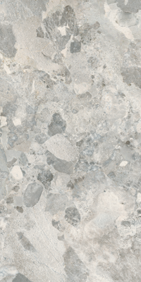 Larocca Grey gepolijst 60x120 rett