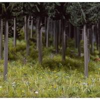 Busch 6043 Startset Bodem, Bos, Weiland - thumbnail