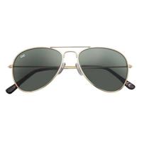 PILOT Zon -small - thumbnail