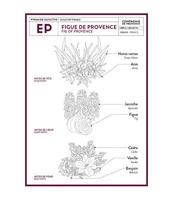Compagnie de Provence Figue de Provence Savon Liquide Marseille Extra Pur 500ml - thumbnail