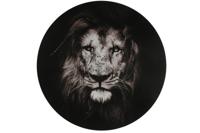 Schilderij Leeuw rond L zwart/wit-L0,4B60H60CM - thumbnail