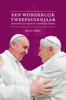 Een wonderbaarlijk tweepausenjaar - Jan de Volder - eBook (9789401412575) - thumbnail
