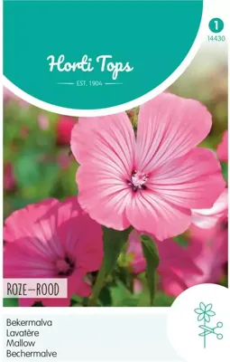 Zaden Lavatera Bekermalva Rose / Rood Hortitops - Hortitops